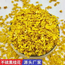 源头厂家广西桂林桂花散装批发干桂花茶量大从优金桂花茶桂花干花