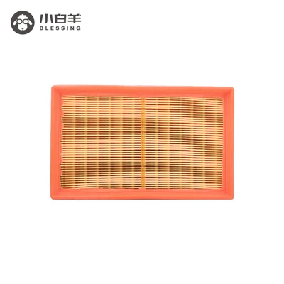 Manbrand air filter Air filter