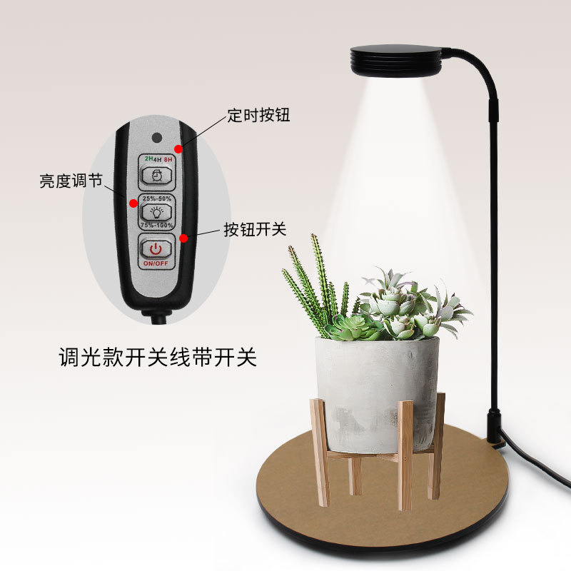 Brillante LED micro paisaje luz botella ecológica luz paisaje pecera luz acuario luz planta relleno luz musgo Luz