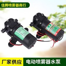 厂供电动喷雾器水泵 农用打药机隔膜泵 双核泵12V 大功率智能水泵