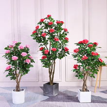 Slֲõ廨ĵٻ͏dbƷֲ҃辰