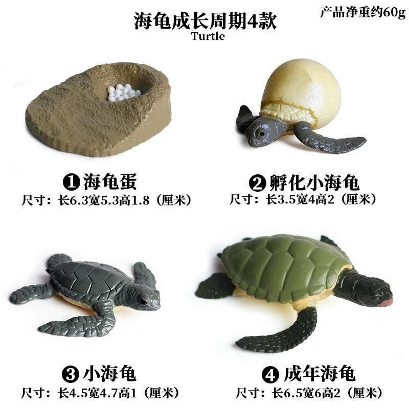 Cognitive realistic marine animal model, dinosaur, toy