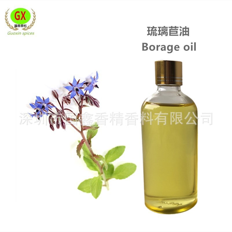 基础油 琉璃苣油  植物香料油  植物基础油 按摩化妆品基底油原料