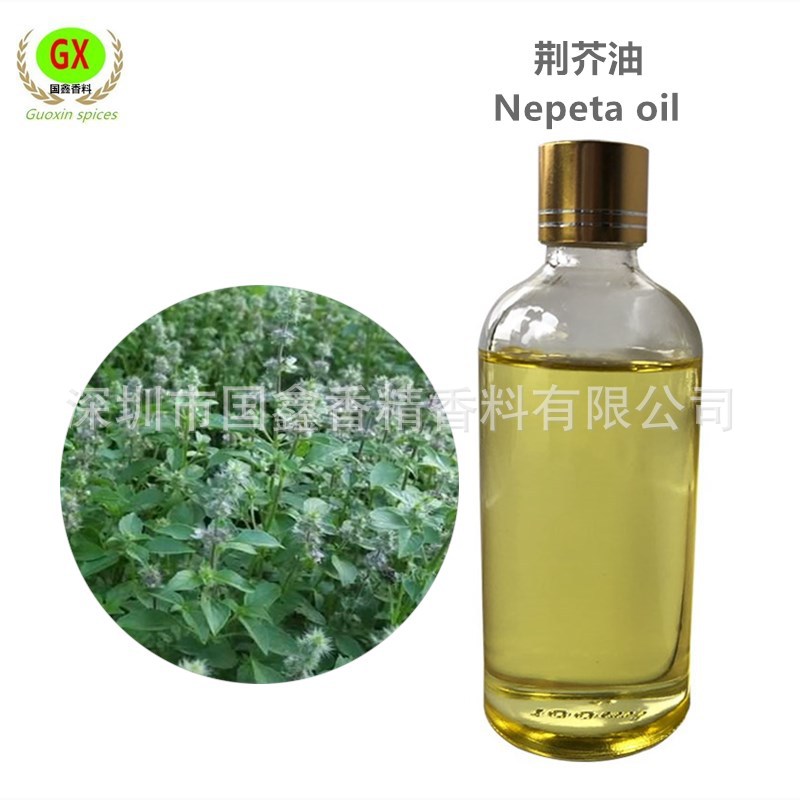 单方精油 荆芥油  荆芥精油  植物香料油  日化香薰原料