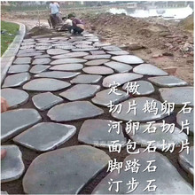 ӹZʯƬ̤ʯ͡ʯyZʯC䁵ƬʯʯƬ