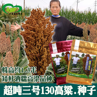 ��������̖130���U��Ŵ�����N���r�����1.3���s��Ŵ������