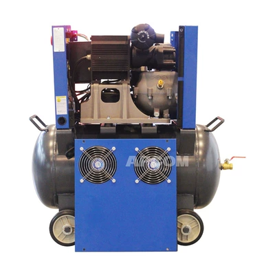 frequency conversion cold dryer air | Hava kompressorları