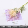 Single -headed flower champagne