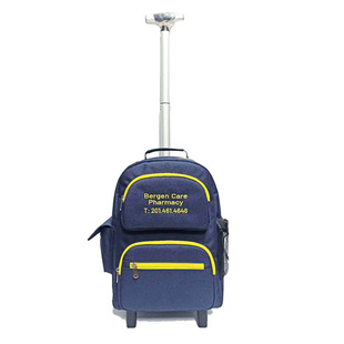 2020 New Guangzhou Factory Primary School Children Student Trolley Schoolbag Detachable Trolley Backpack Pullable Backpack