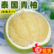 泰国青柚新鲜柚子水果进口青皮白心蜜柚2/3个装当季鲜货整箱包邮