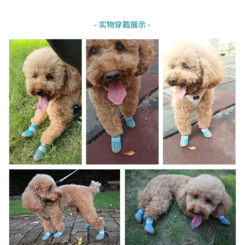 Venta caliente transfronteriza nuevos zapatos para perros para mascotas, zapatos para caminar al aire libre resistentes al desgaste y transpirables para perros pequeños, fábrica de zapatos Teddy Bichon al por mayor