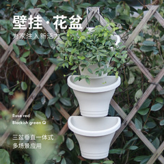 Wall-mounted plastic planter, balcony pothos orchid planter, fence, thick wall hanging pot hooks, set of planters