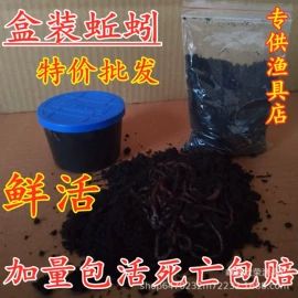鱼竿;渔线轮;鱼饵