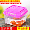 Small table handheld plastic aquarium, transport, pet, wholesale