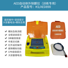 AED除颤仪训练模型 心肺复苏模拟人 教学培训 医用模拟 厂家直销