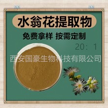 水翁花提取物20:1 水翁花粉 水雍花提取物 500克装