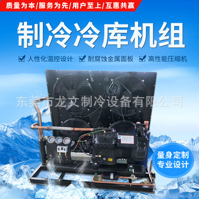 厂家直销半封闭冷库机组冷库冷冻低温机组风冷比泽尔半封闭