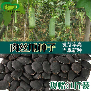 ��z�ϷN�� �r��˵طNֲ�����͝nˮ�ͷ���������z����