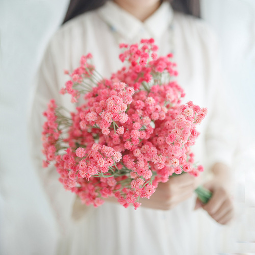 Artificial Baby's Breath Flowers, Plastic Fake Flowers, Dried Floral Arrangements, Bridal Bouquets, Wedding & Event Decorative Flowers—Factory Supplier
