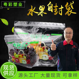 打孔透气水果保鲜包装袋 家用冰箱自封拉链袋 通用水果蔬菜分装袋
