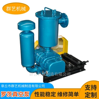 厂家定制水环式微型罗茨真空泵 立式增压泵全自动小型罗茨真空泵