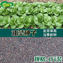 ɢ�b�Ͳ˷N�� �r��ˈ@�ͺ��~��ʺ��Ϻ���G�Ͳ���