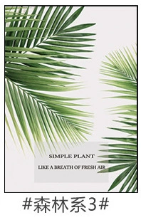 Forest system 3