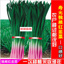 �۹⪚���t�²˷N�Ѽt���ϸ���²˷N���ļ��Nֲ�ط���Ʒ�N����