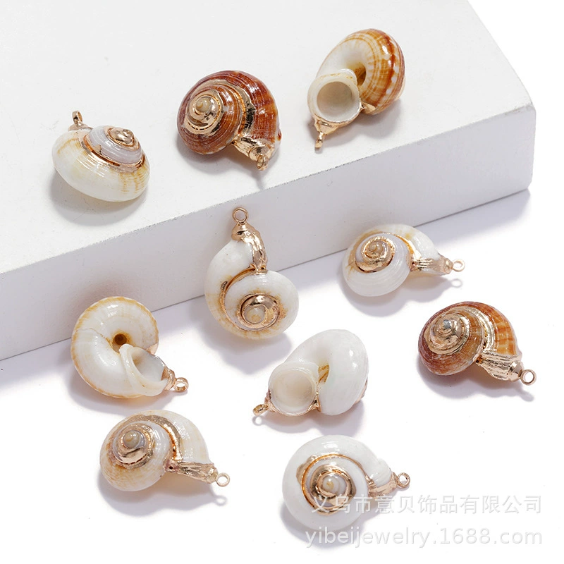 Золотая гальваника натуральная ракушка улитки пресной воды Pendant (Yibei), 2–3 см