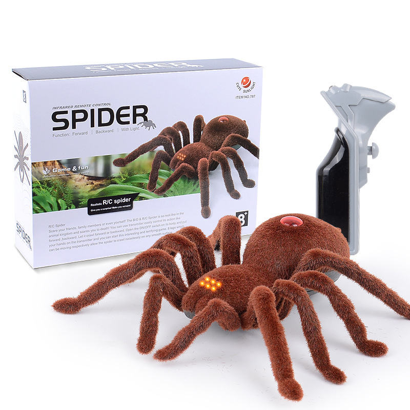 양방향 거미 새 거미