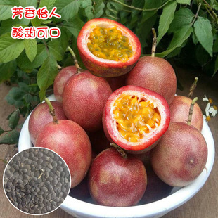 Passion Fruit Golden Fruit Seeds Golden Passion Fruit Seeds All Year Round Spring Courtyard Indoor Farm Fruit Seeds