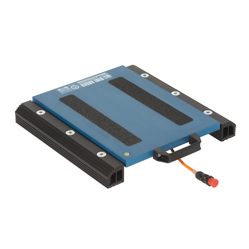 狄纳乔WWSE6T-2轴重秤WWSE10T-2便携式有线汽车轴重仪 汽车称重板