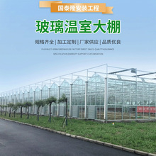 蔬菜花卉养殖用连栋温室大棚青州承接温室工程连栋玻璃温室大棚