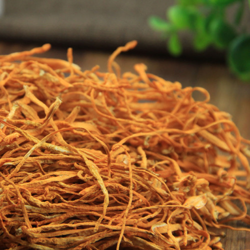 Kangwang Gutian Cordyceps Flower Dried Goods 500g Grass Exhaust/Unorganized Grass Spore Head Cordyceps Flower Source Factory Direct Sales Wholesale