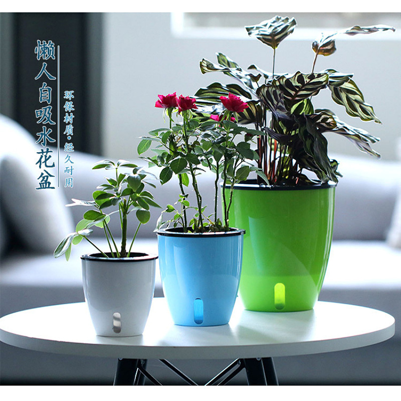 Youka lazy flower pot automatic water absorption color dinosaur egg…