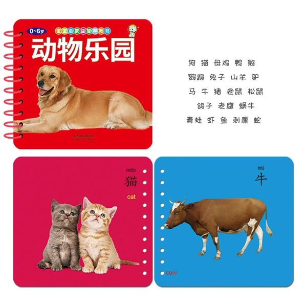 Animal park