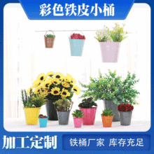 ����ɫ�FƤСͰ���ǹ�ɫ�Ҿ��b�Ͱ�����FͰ����ֲ�ﻨ��Gֲ