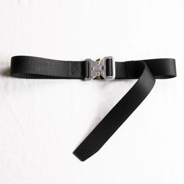 3.8cm black [silver buckle]