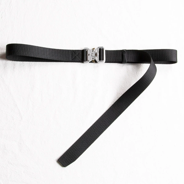 2.5cm black [silver buckle]
