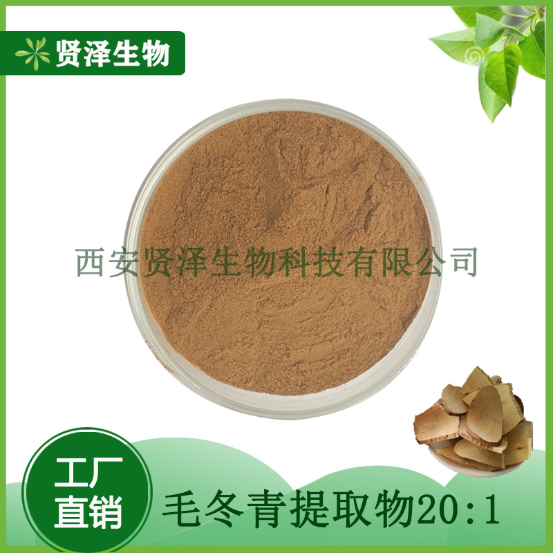 毛冬青提取物20:1 毛冬青提取 速溶毛冬青粉 多规格贤泽生物 现货