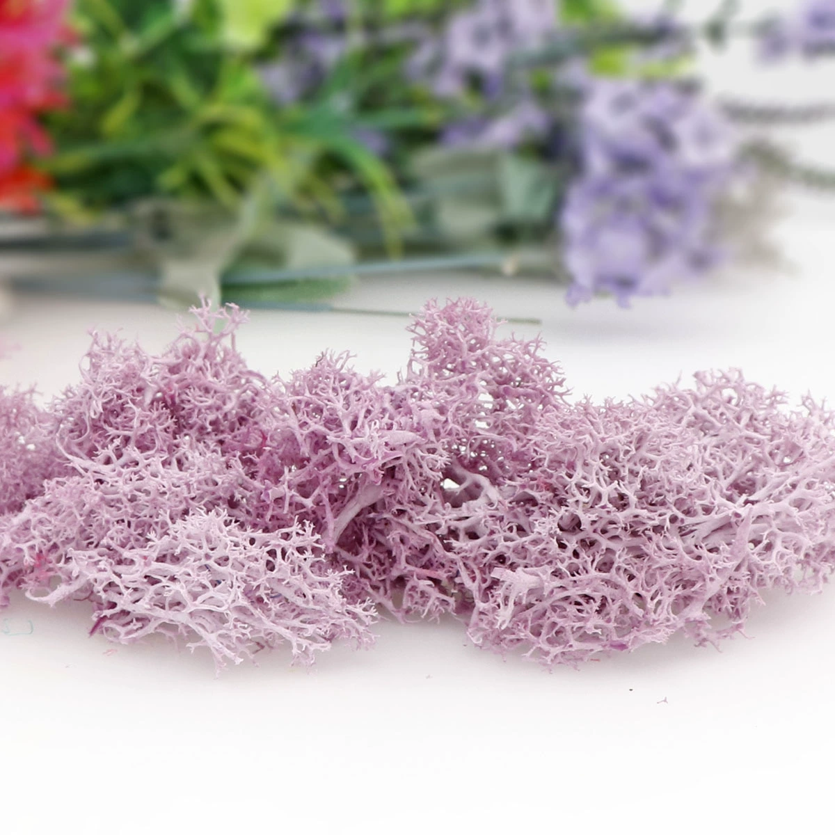 Вечный мох, цветной мох, микроландшафт DIY, декоративное зелёное растение, многокрасочный на выбор, декоративный роговой мох