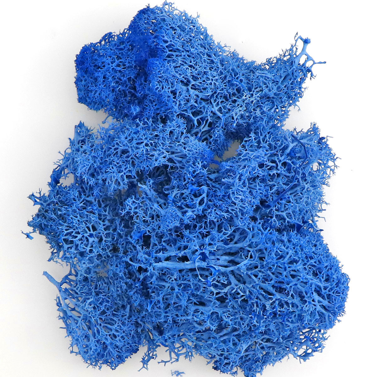 Musgo eterno colorido musgo micro paisaje DIY decorativo planta verde multicolor opcional asta decorativa musgo