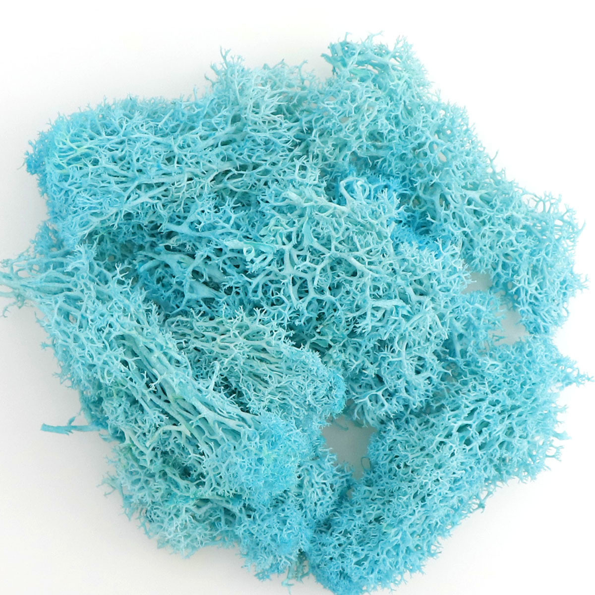 Musgo eterno colorido musgo micro paisaje DIY decorativo planta verde multicolor opcional asta decorativa musgo