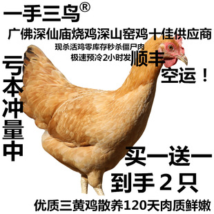 ��һ�����B���F�����S�uɢ�B���u��С���uĸ�u���Gͯ���u�Iһ��һ