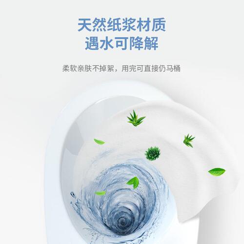 Korean Black Magic Wet Toilet Paper Female Hygiene Care Baby Cleaning Private Parts Portable Disposable Wet Wipes 60 Pumps Wholesale