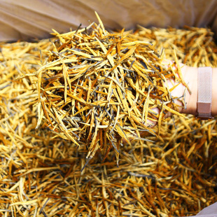 ����P�c��t�����ֱ�l2024�괺�辰�ȴ��ѿ�t��ѿ�^�������l