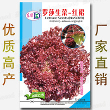 �s2000���_ɯ���˷N�� �ļ��ɷN �tȹɳ������ �rʳ �߲˷N�����l