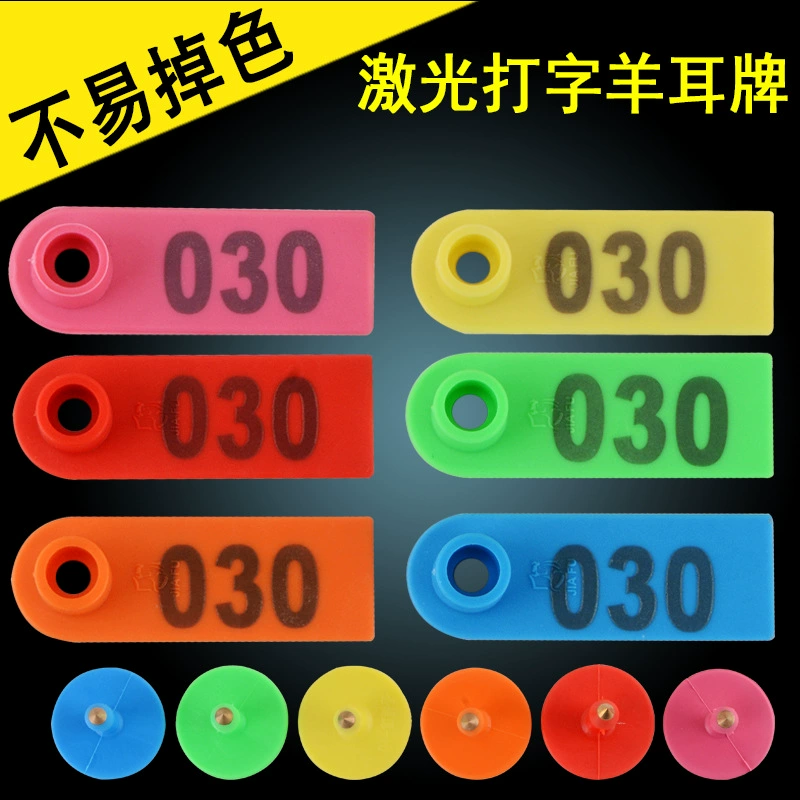 Бирка уха овец со словом знак уха Знак уха овец Ввод Бирки уха овец Анти-линять знак овец