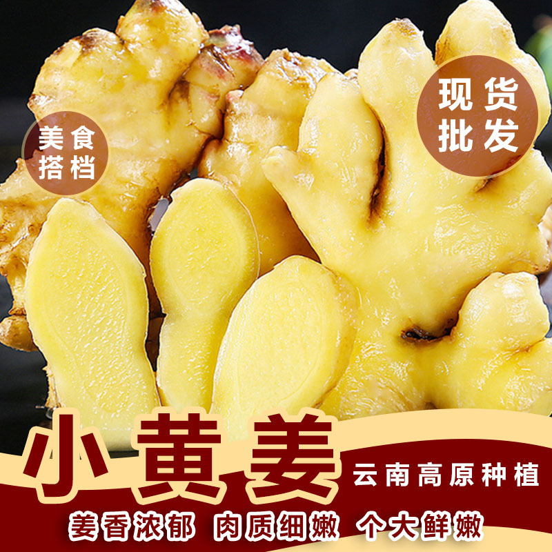 2025 Yunnan small turmeric seasoning ginger seasonal vegetables Feiwenshan ginger wholesale one piece dropshipping 359 pounds