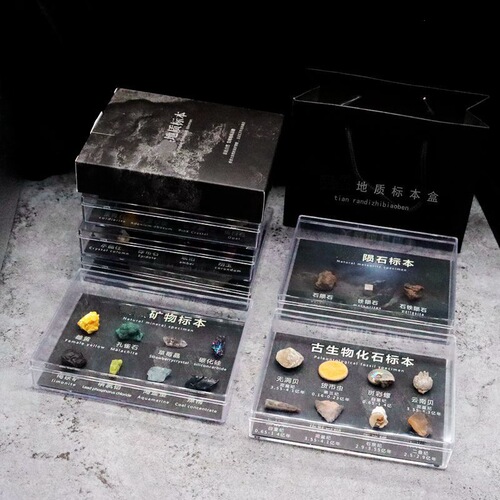 Fossils ores, meteorites, teeth, plants, wolf-finned fish, insects, paleontological fossils, popular science teaching specimen collection ornaments